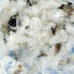 China Duck Delux Feathers  for Seat & Back Cushions