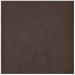 Austen Leather