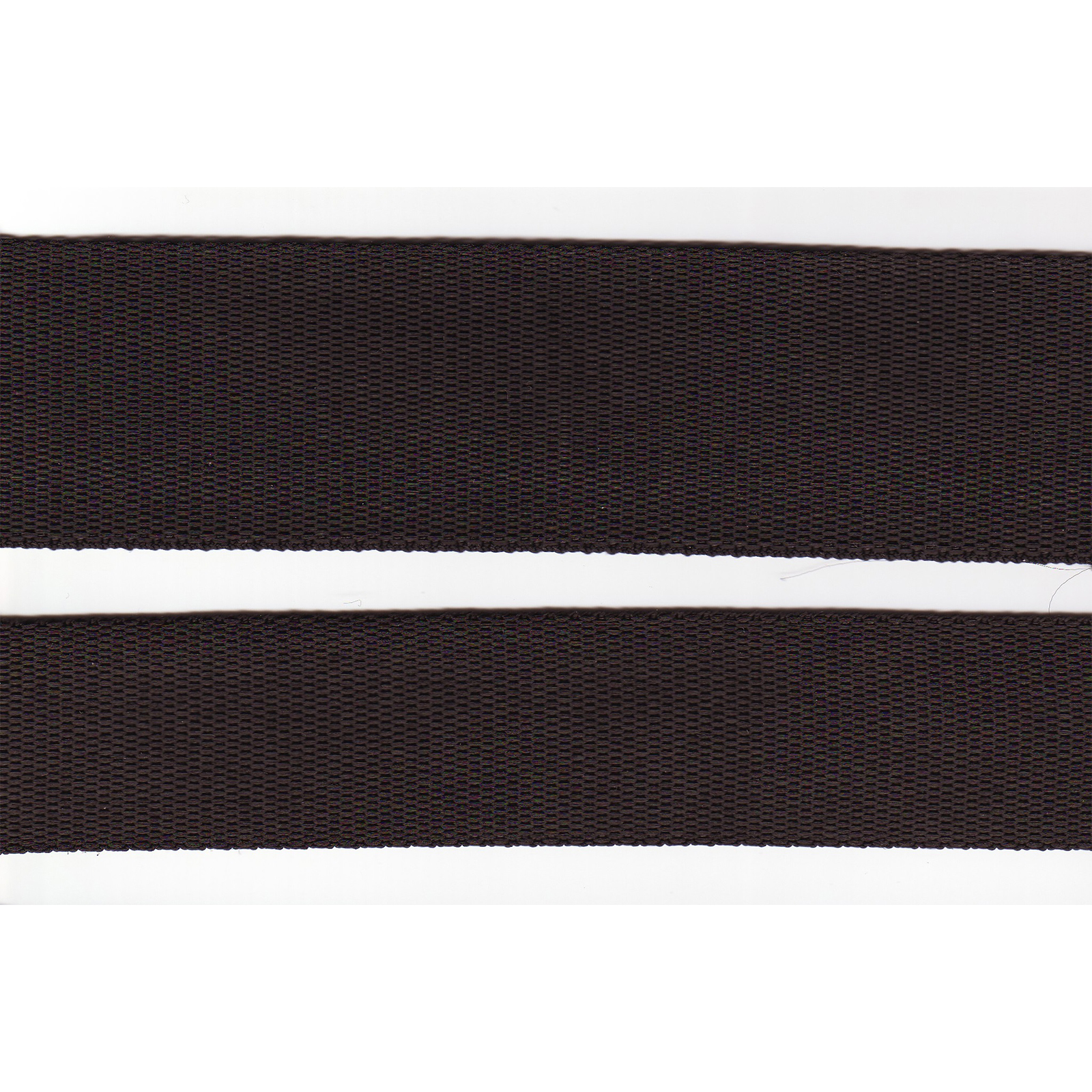 HeavyPolypropylene Heavy Black Polypropylene Webbing - Image 1