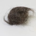 Chinese Horse Hair