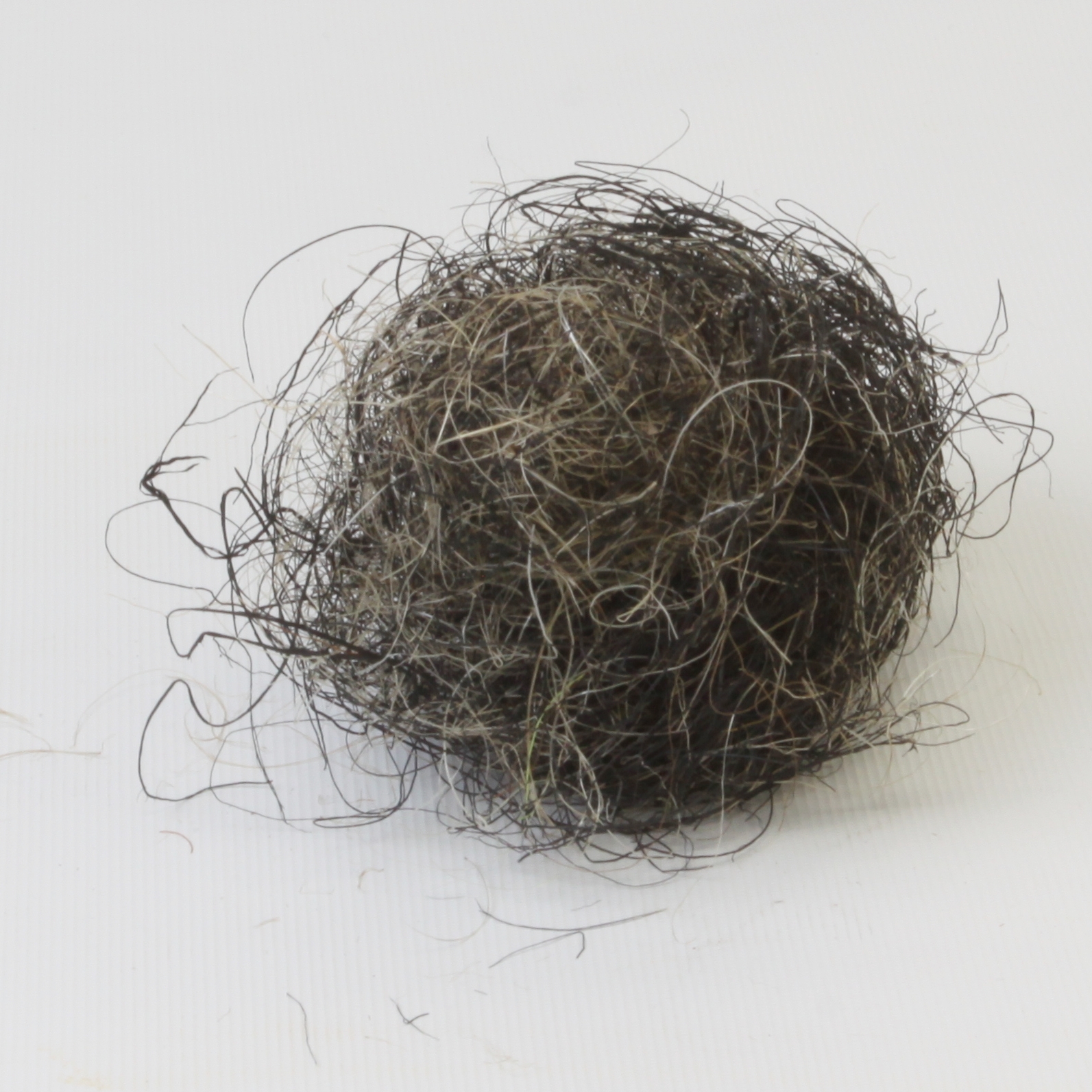 R088-2 Hair & Fibre - Image 1