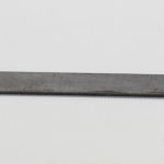 Seagrass Needle