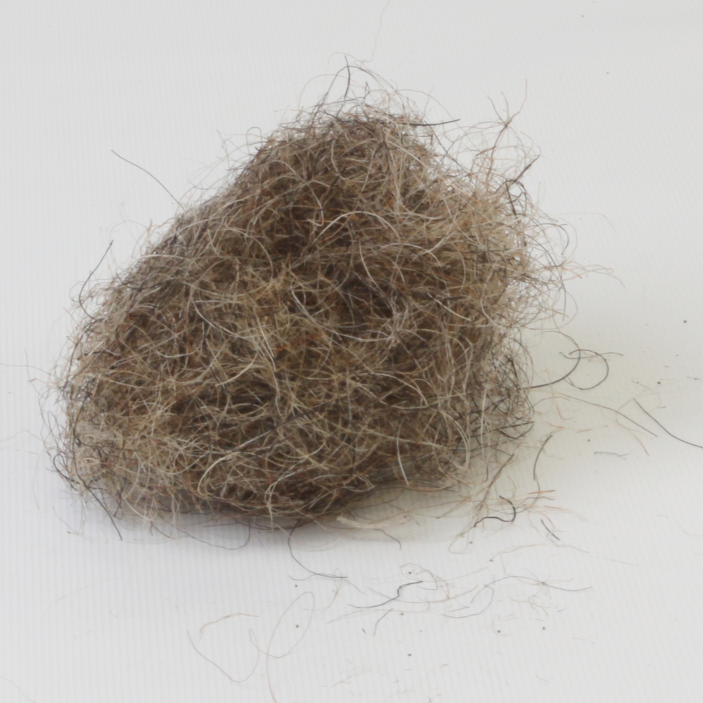 Natural Teased Hair