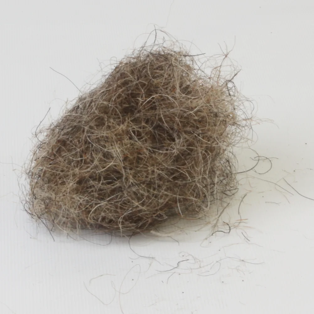 Natural Teased Hair